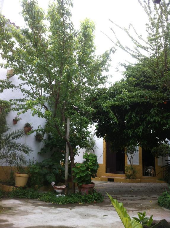 Patio Das Flores เฟอเฮรา โด อเลนเตโจ ภายนอก รูปภาพ