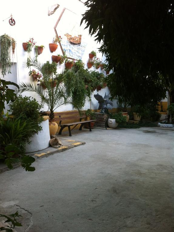Patio Das Flores เฟอเฮรา โด อเลนเตโจ ภายนอก รูปภาพ