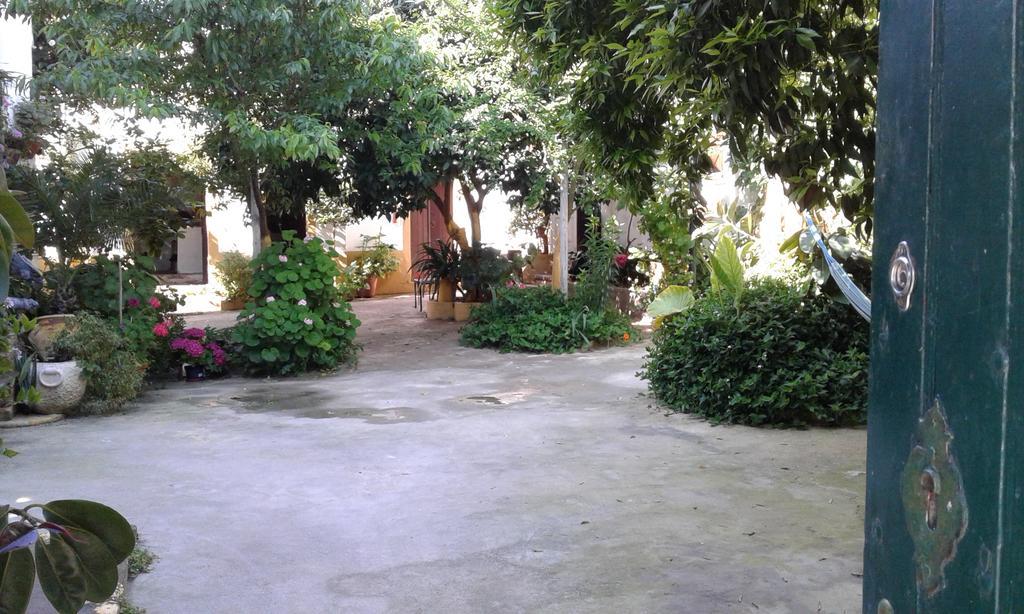 Patio Das Flores เฟอเฮรา โด อเลนเตโจ ภายนอก รูปภาพ