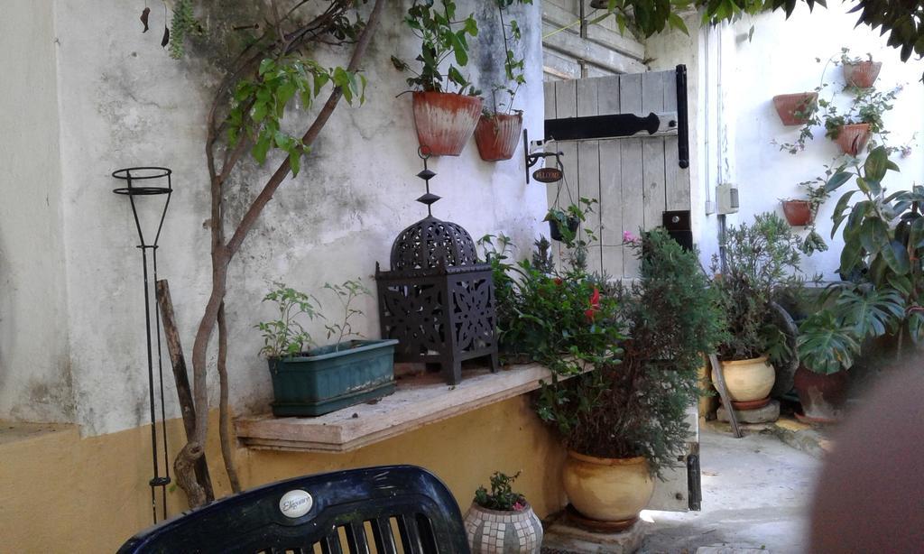Patio Das Flores เฟอเฮรา โด อเลนเตโจ ภายนอก รูปภาพ