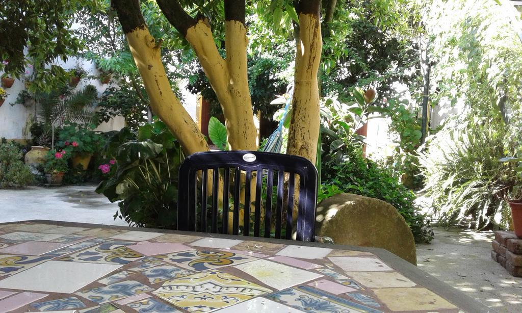 Patio Das Flores เฟอเฮรา โด อเลนเตโจ ภายนอก รูปภาพ